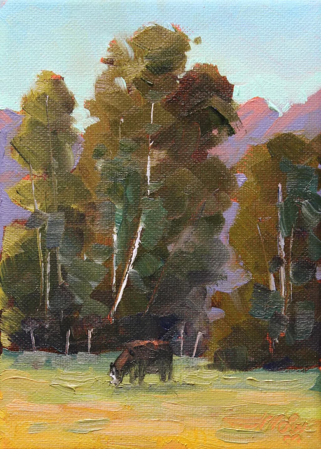 Solitary Grazer