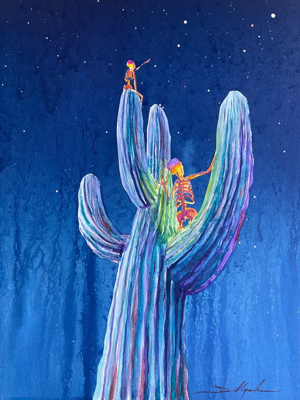 Saguaro Stargazers