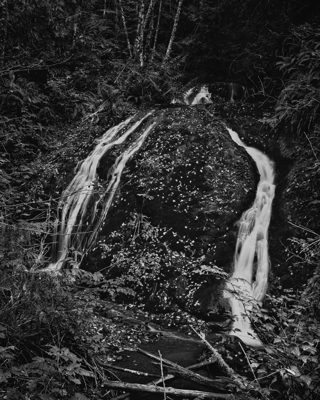 Where the Waters Divide, Olympic Peninsula, Washington, 2025