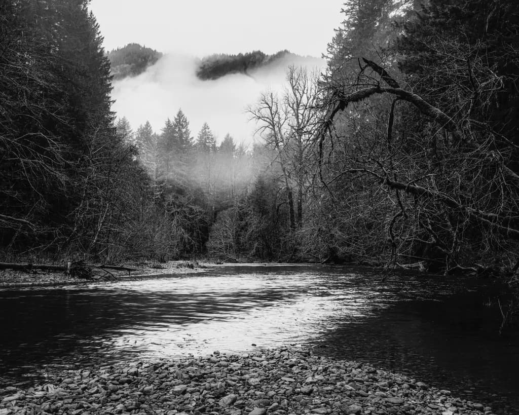River and Rising Fog, Wind River, Washington, 2026