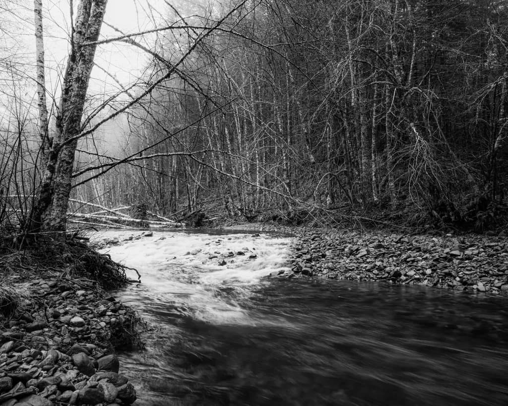 Where the Current Turns, Wind River, Washington, 2026