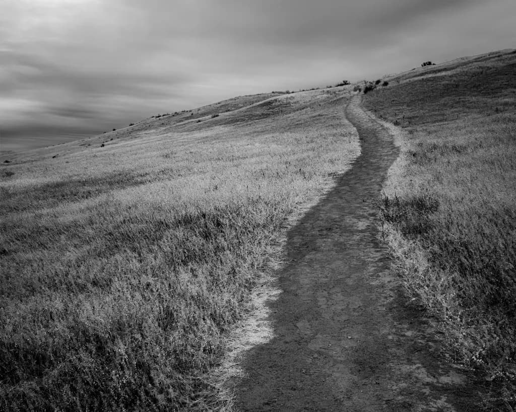 Path Across the Bluffs, White Bluffs, Washington, 2024