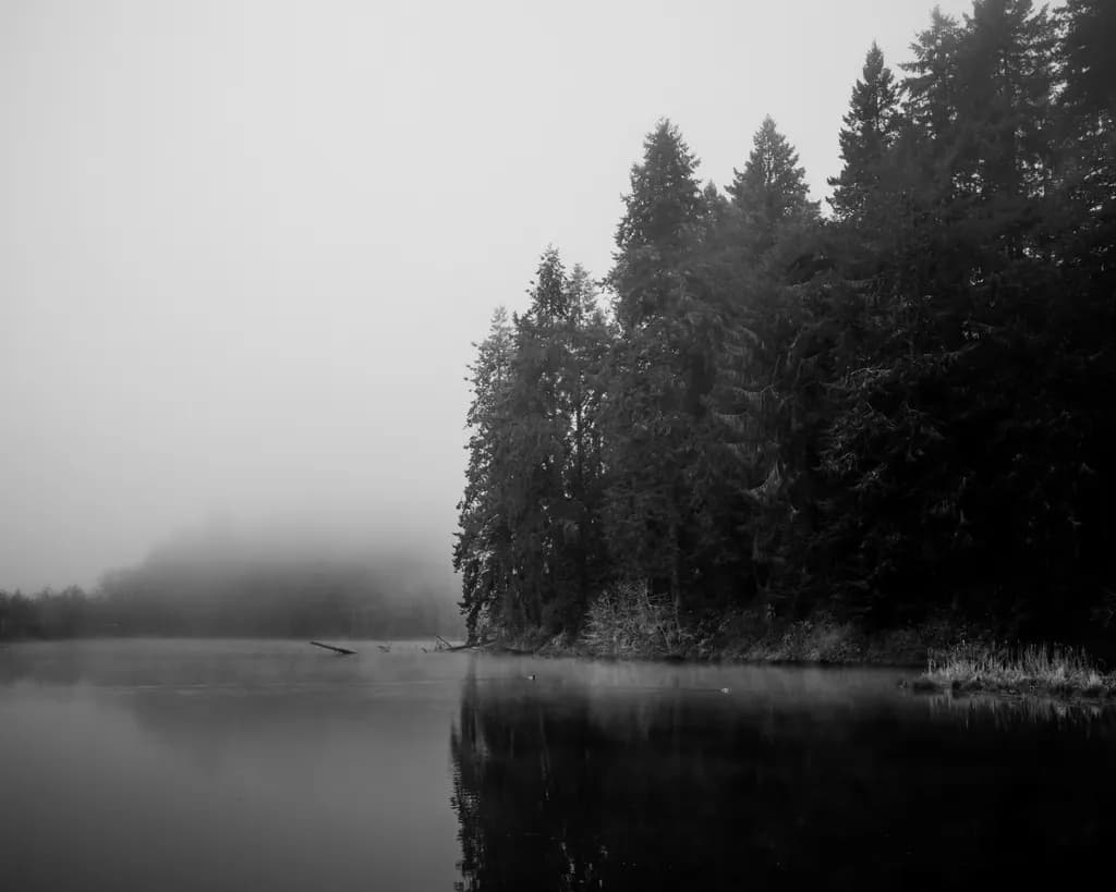Along the Cove, Percival Cove, Olympia 2026