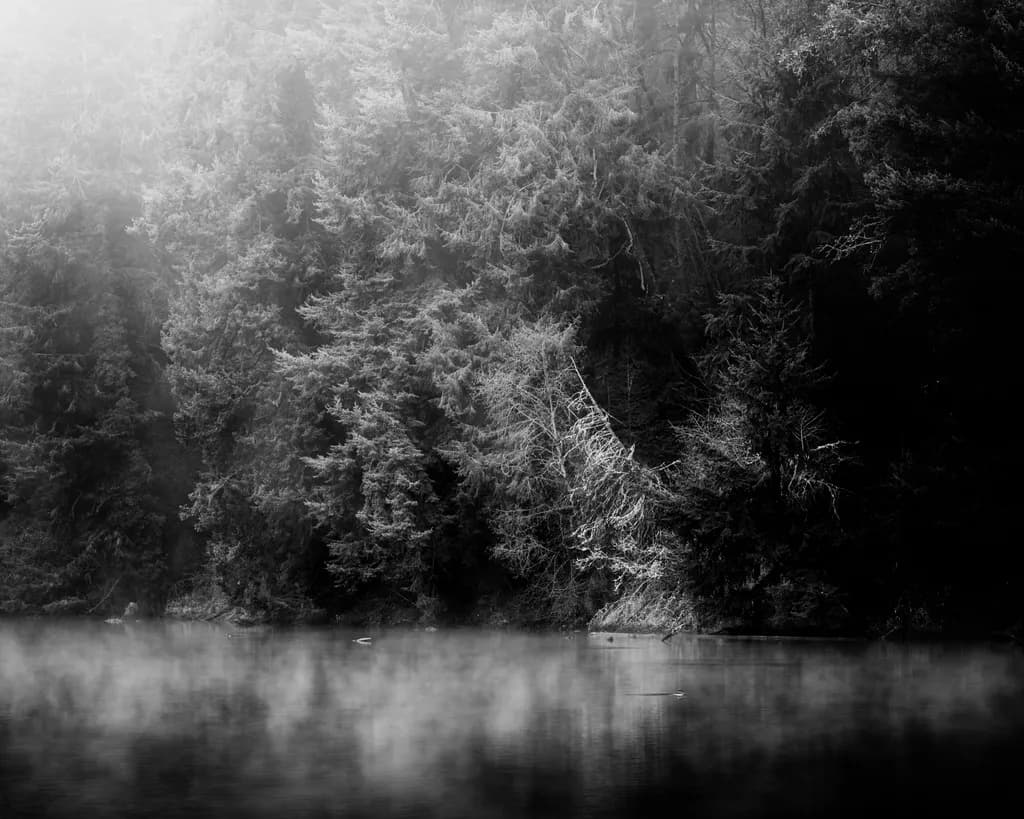 Along the Dark Shore, Percival Cove, Olympia