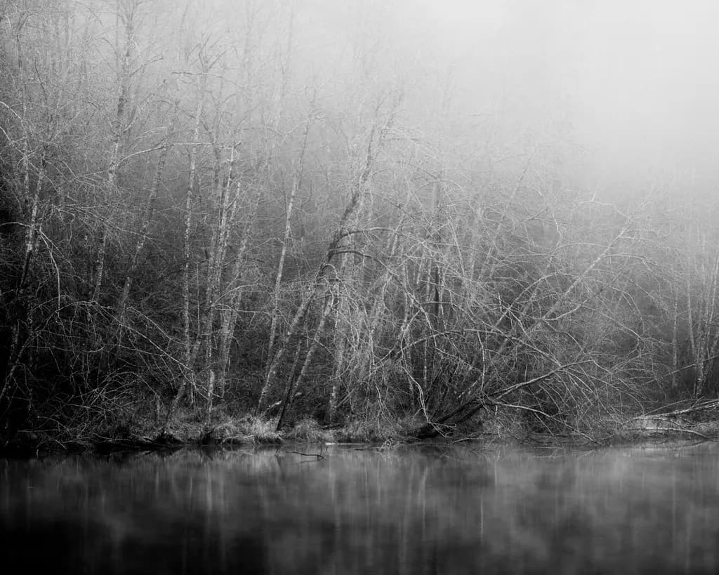 Edge of Still Water