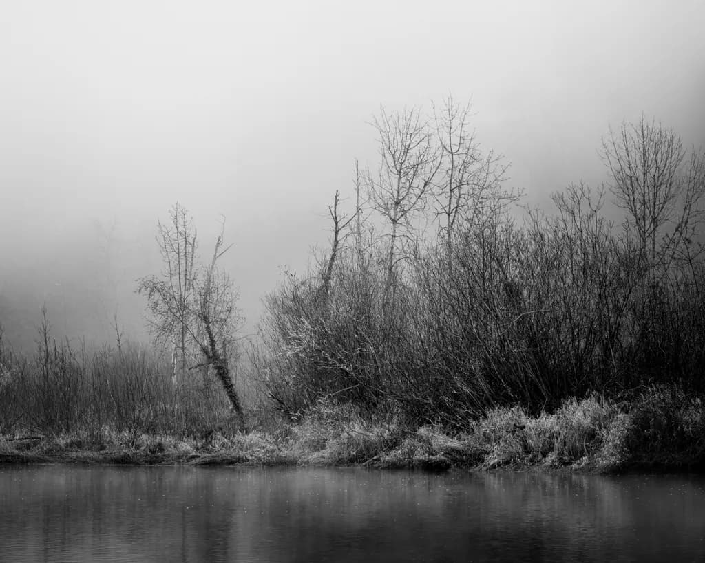 Leaning Into the Fog, Deschutes River