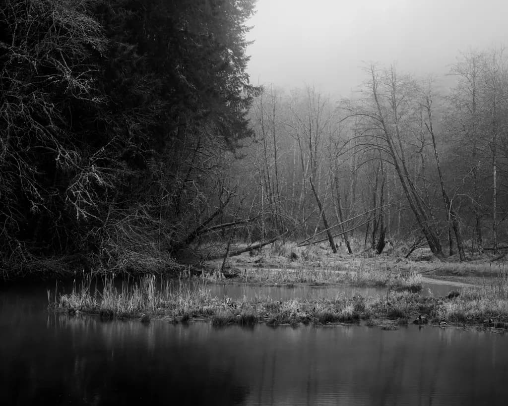 Where the Creek Meets the Cove