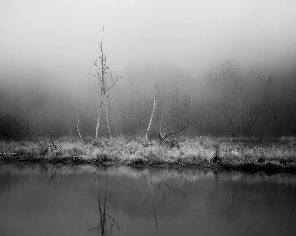 Held in Still Water, Deschutes River, Tumwater, Washington, 2026