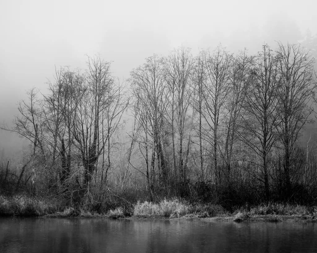 Where the River Slows