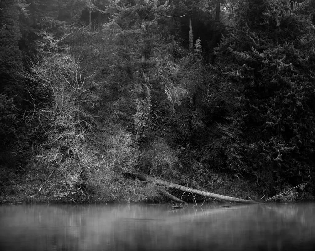 Fallen Along the Shore, Percival Cove