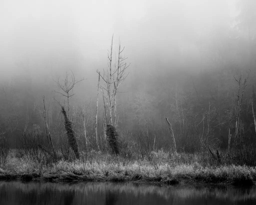 Standing in the Fog, Deschutes River