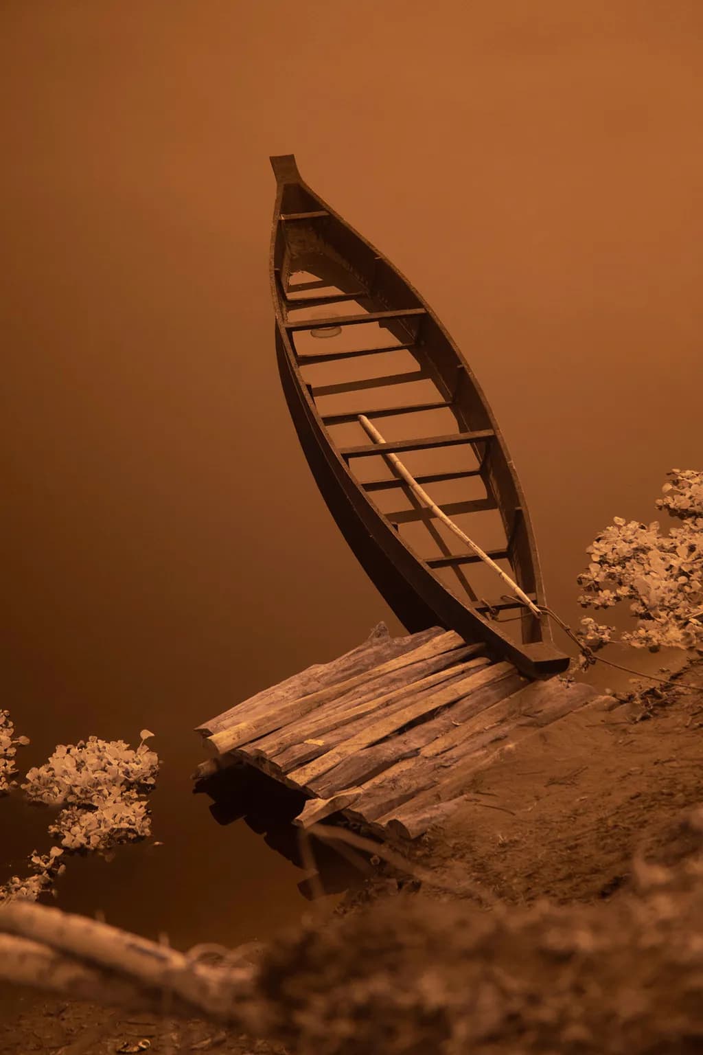 Vertical Canoe Reflection