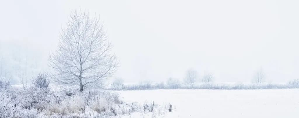 Frost and Fog