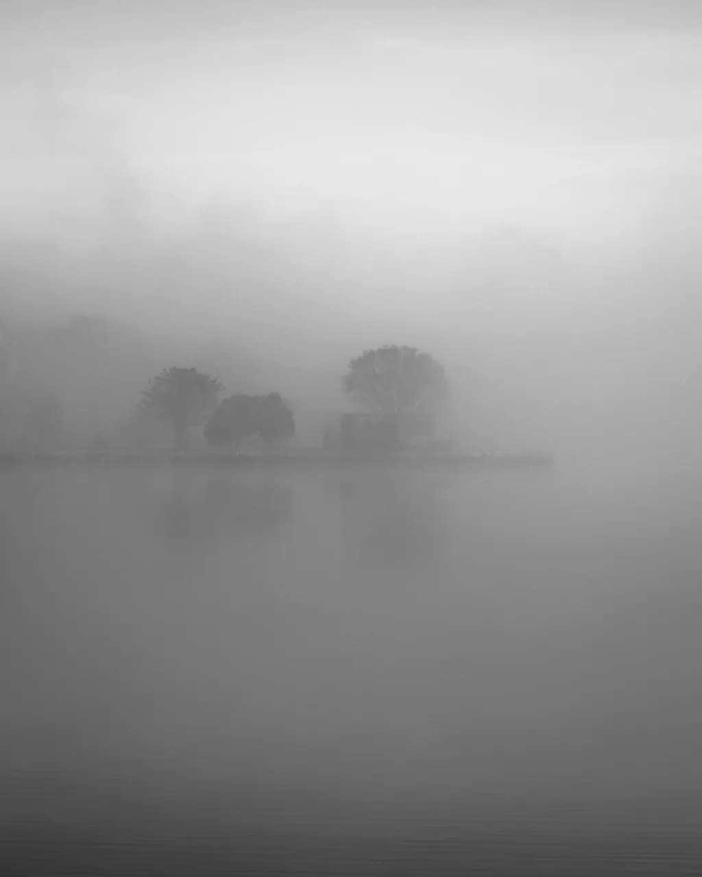 Willow Point Mist