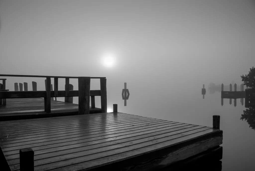 Essex Docks