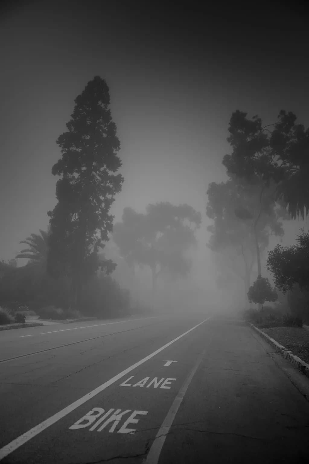 The Lane Ahead