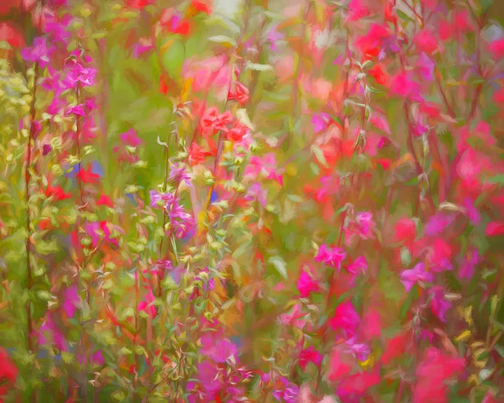 Dreamy Flowers