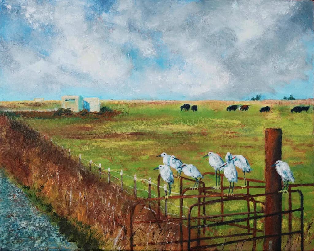 Snowy Egrets Gathering