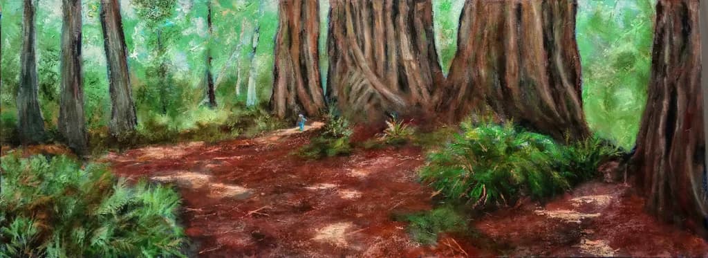 Prairie Creek Redwoods