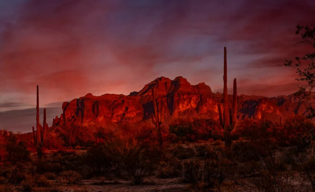Crimson Dusk