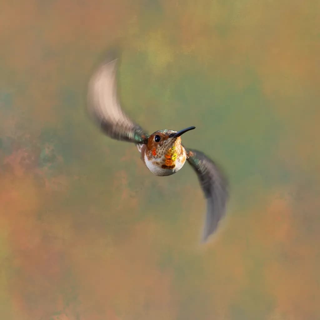 Ghost Wings