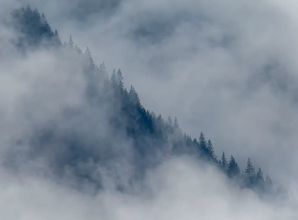 Fogged Ridge