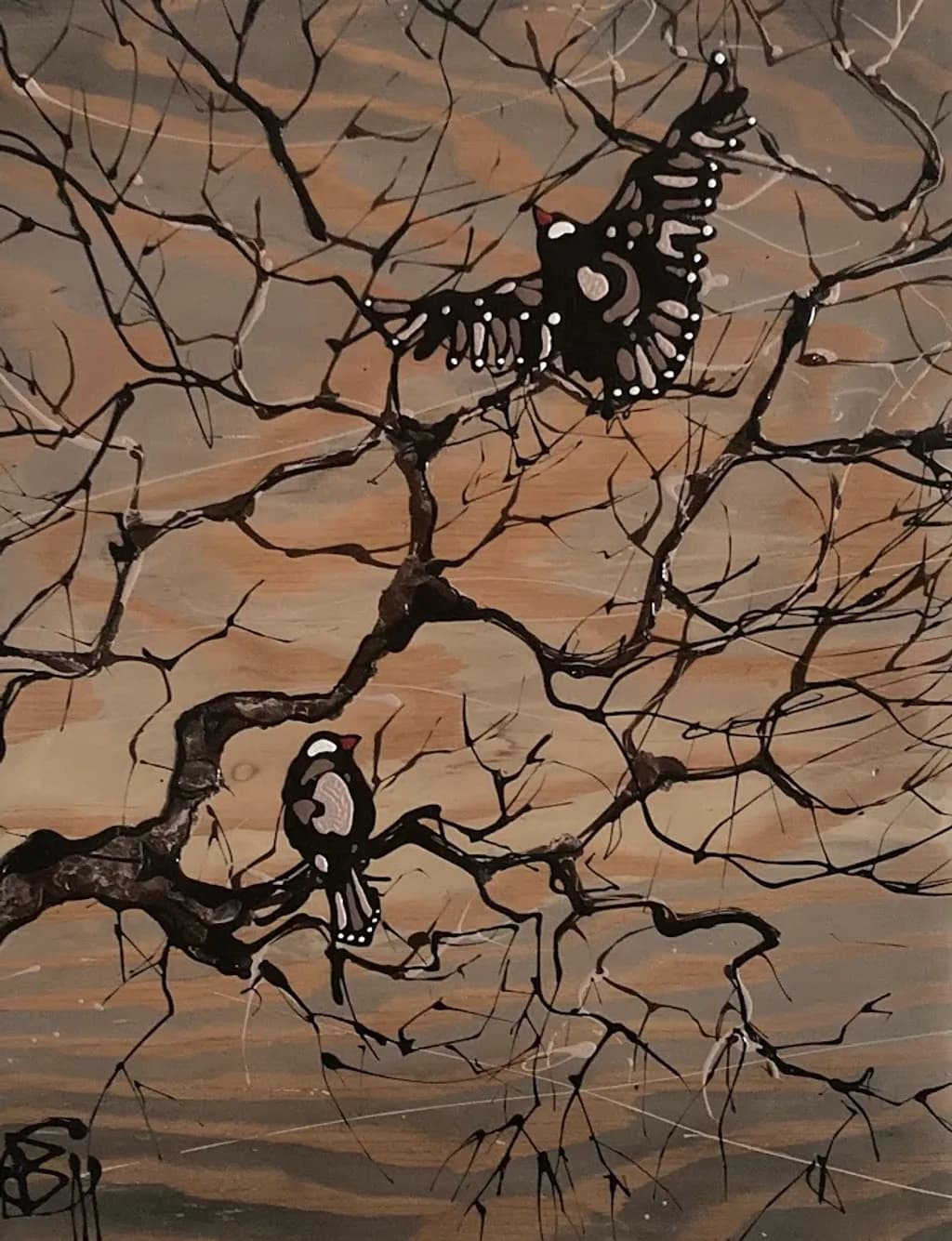 Desert Birds