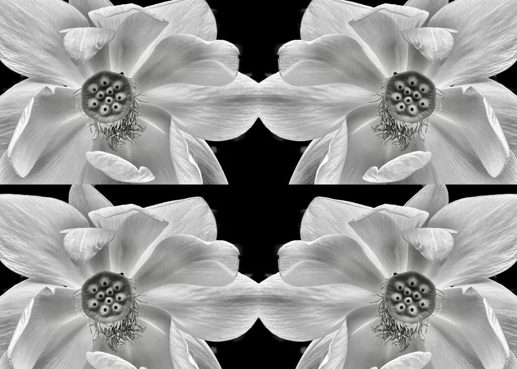Fun Flowers Pattern