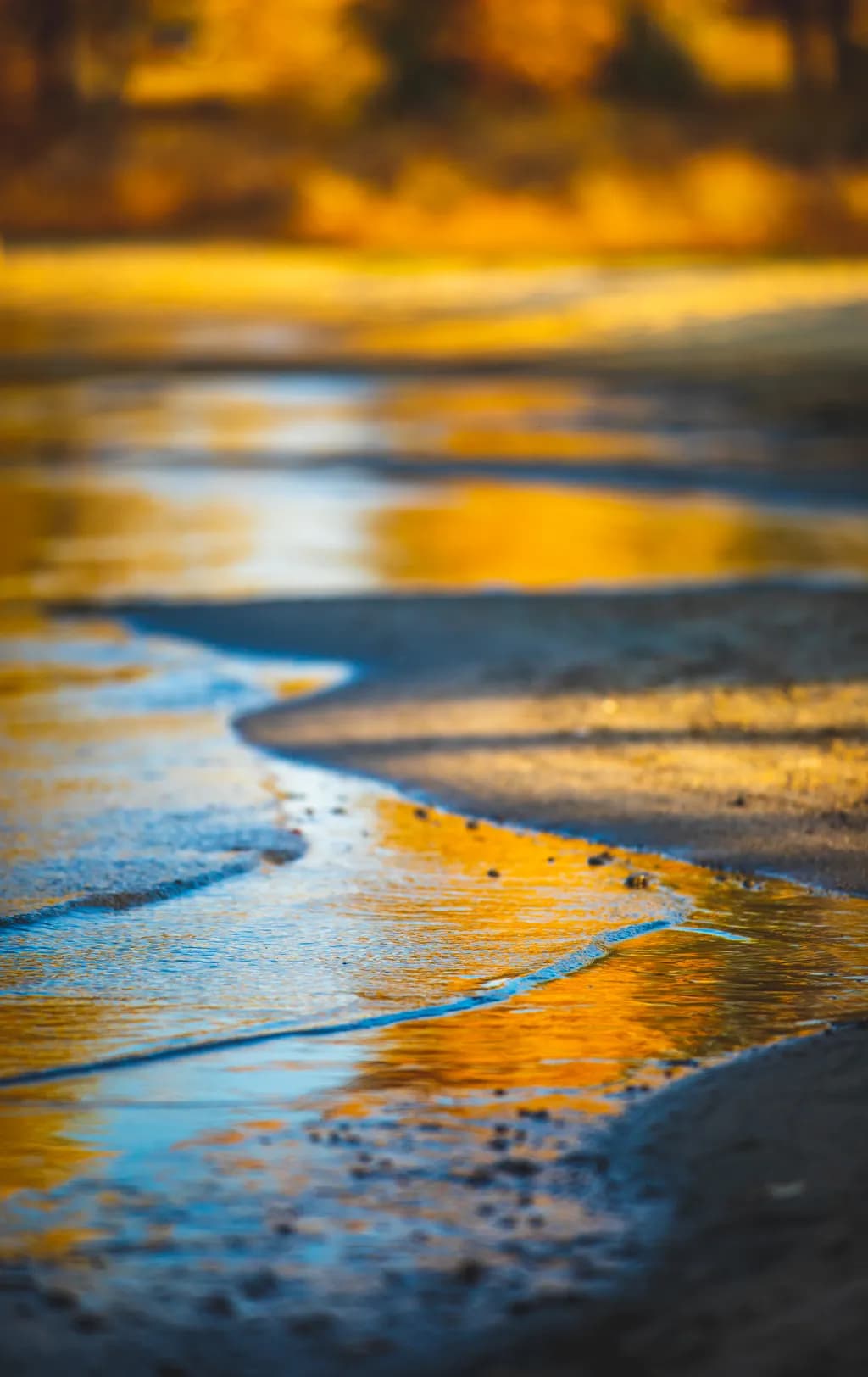Fall in Water