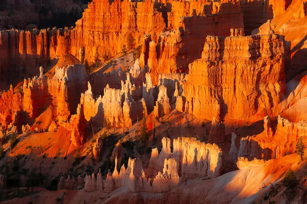 Sunrise Shadows