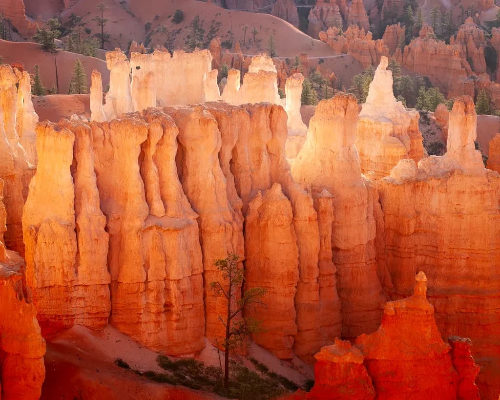 Glowing Hoodoos