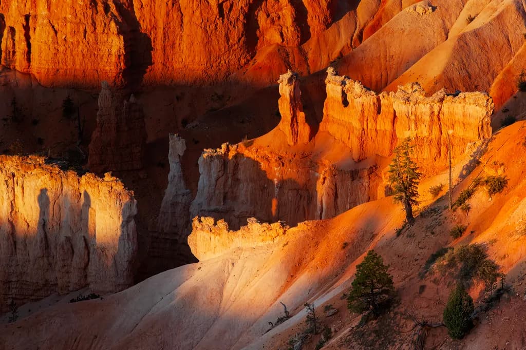 The Canyon Awakes