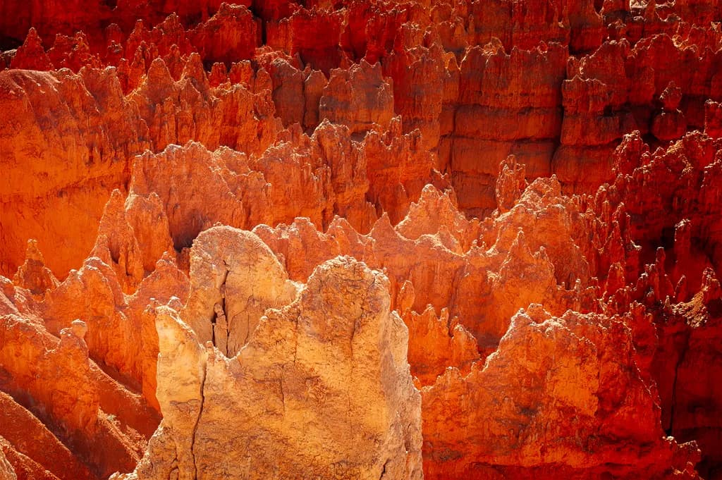 Canyon Blaze