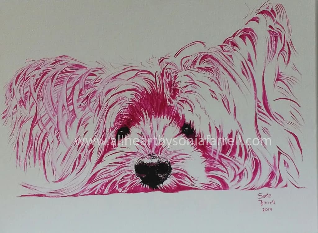 Furry Pink Whiskers