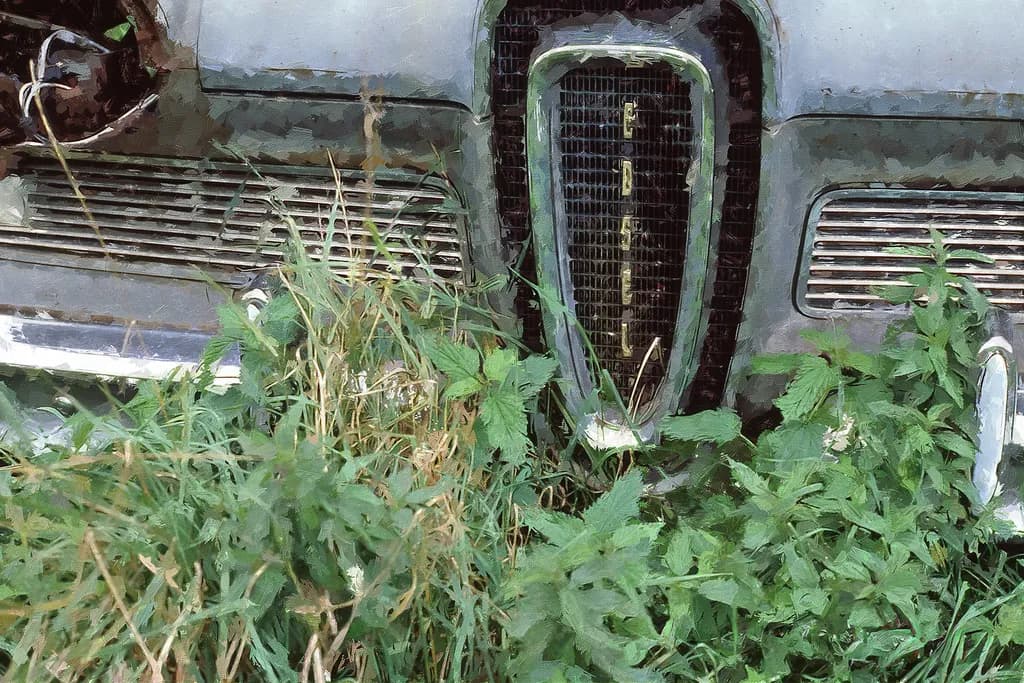 Edsel in the Weeds