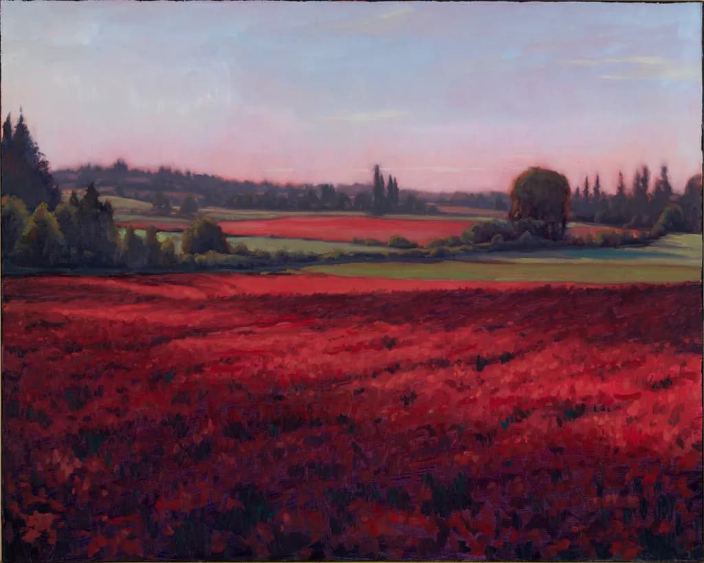 Crimson Clover