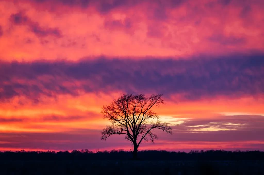 Silhouette at Sunset