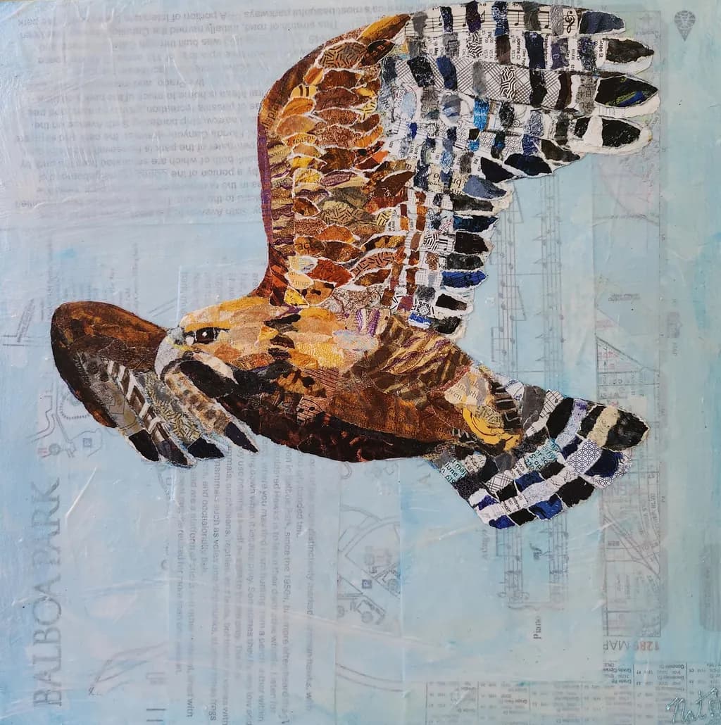 Soaring Through Balboa: A Collage of Nature's Majesty