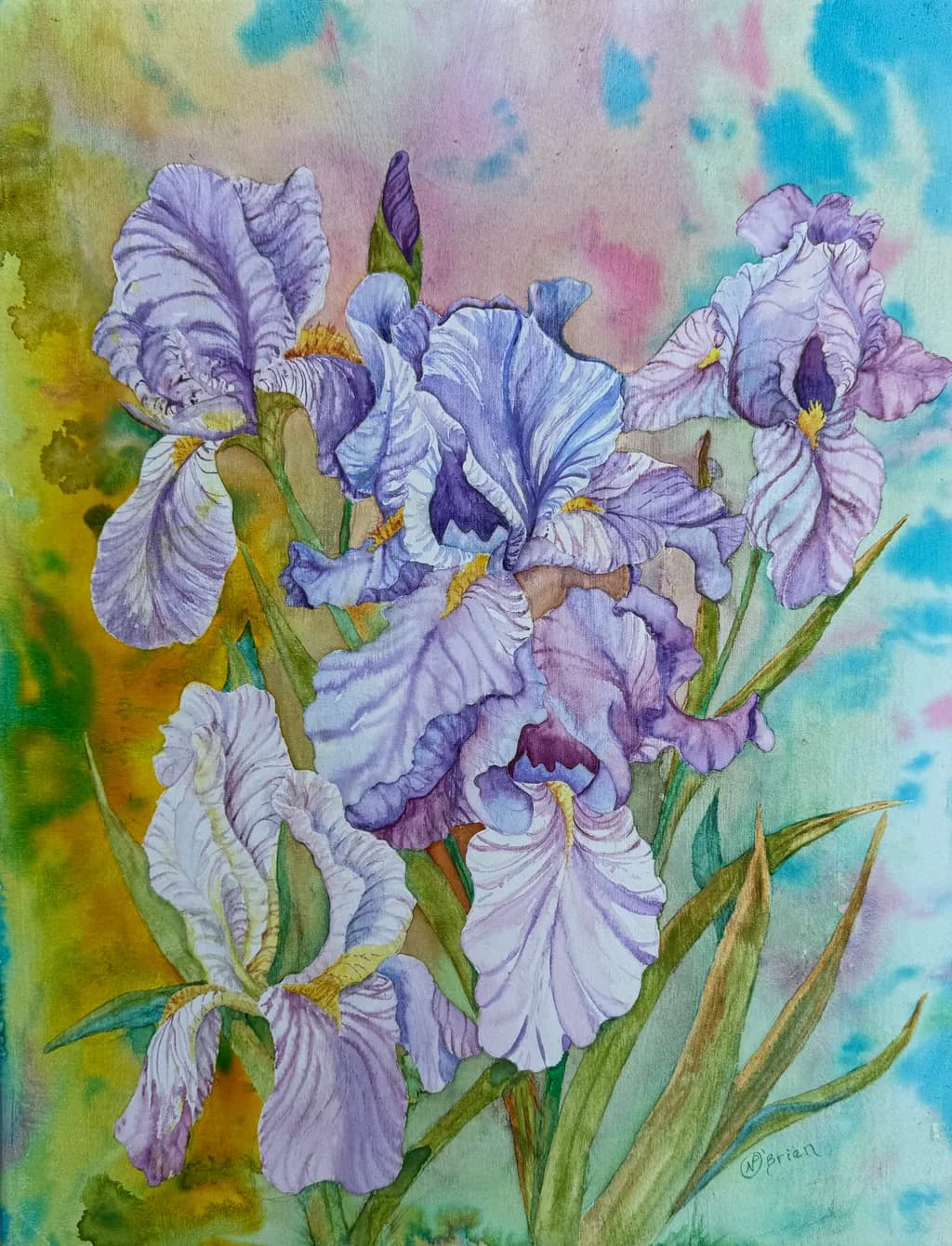 Purple Iris Garden