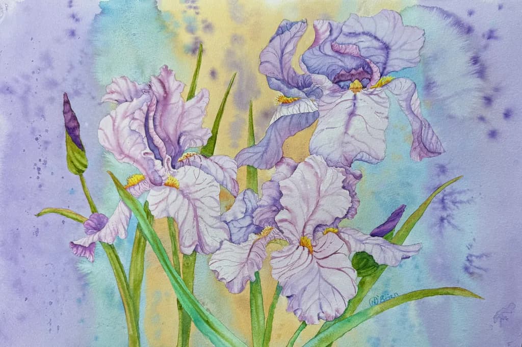 Pastel Iris Bloom