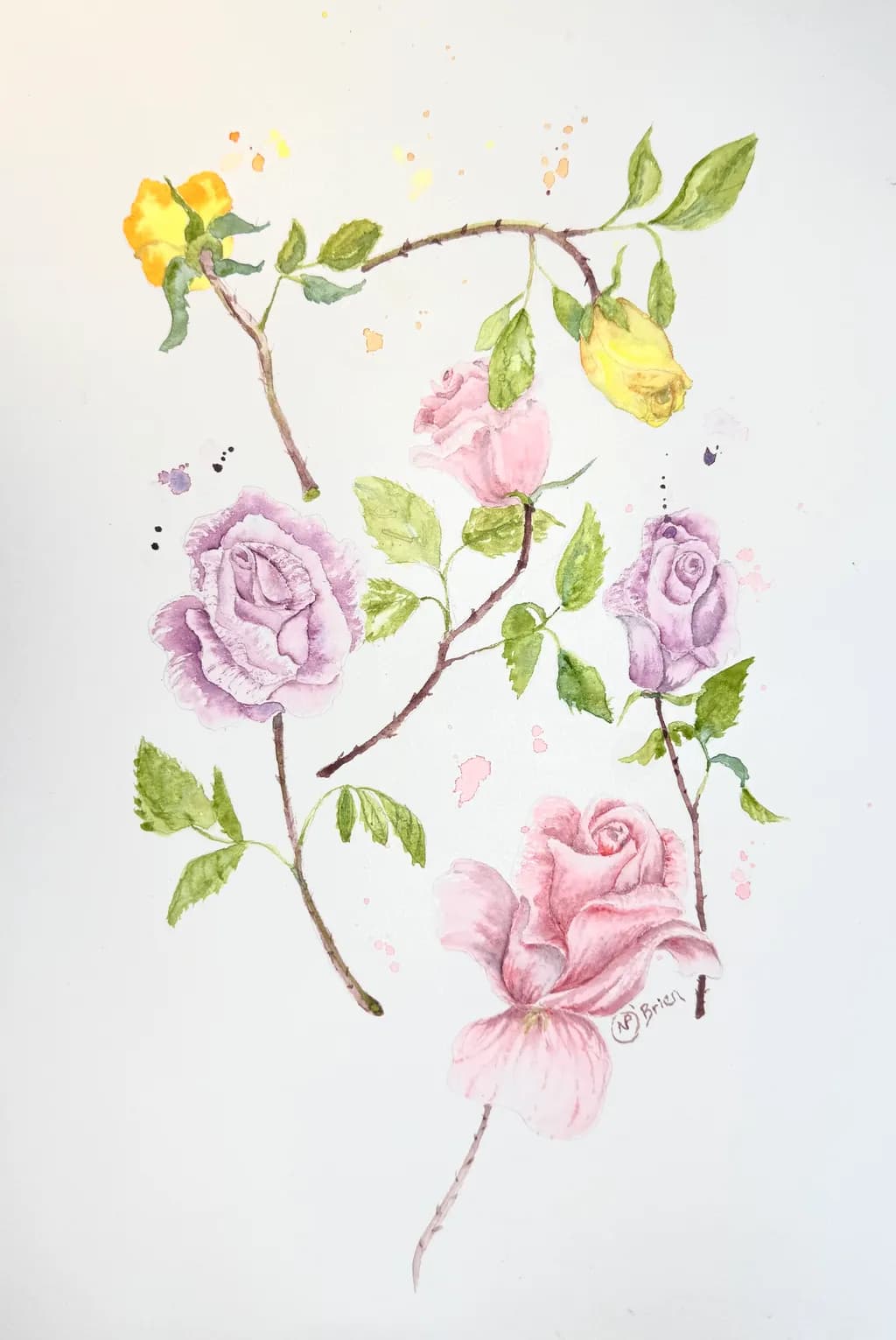 Rose Garden Study