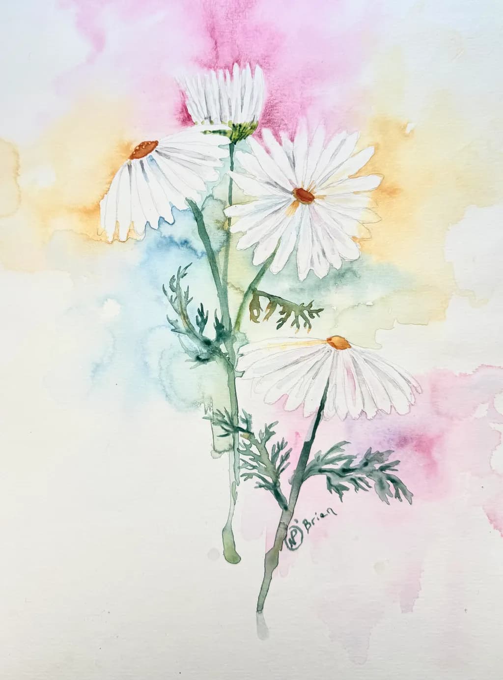 Daisy Garden Watercolor