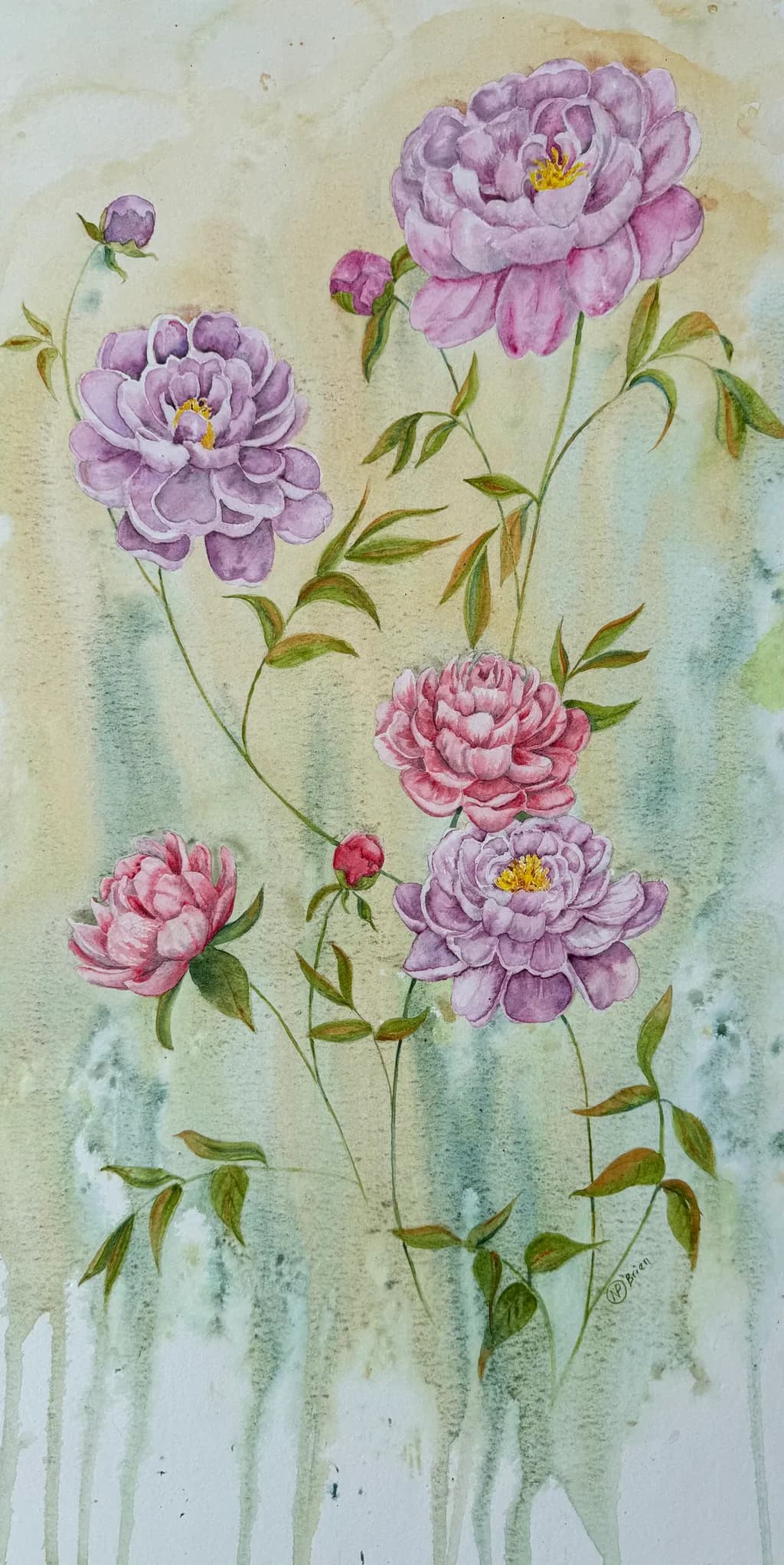 Peony Garden Study