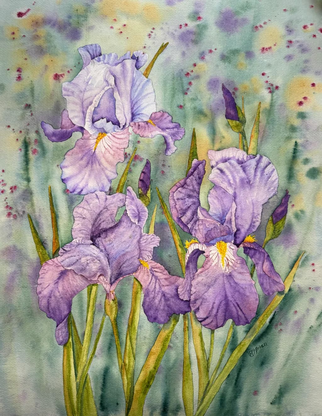 Purple Iris Garden