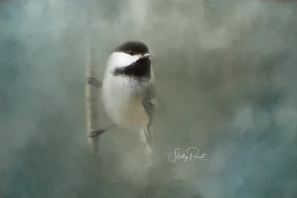 Whispers of Nature: A Serene Encounter with a Delicate Bird