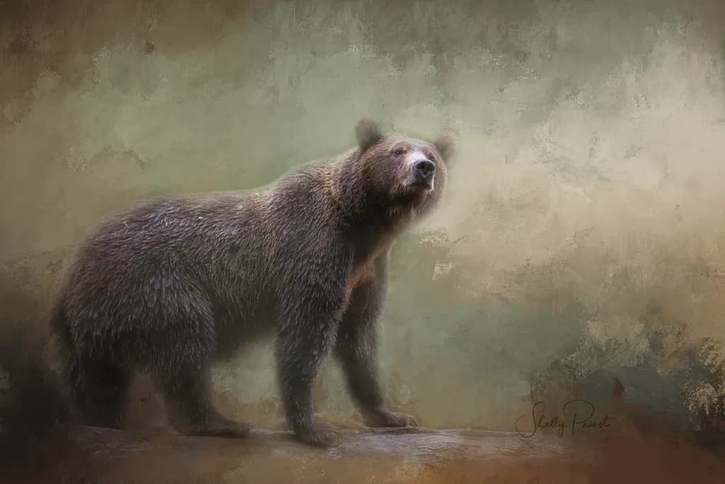 Majestic Grizzly: A Portrait of Wilderness Serenity