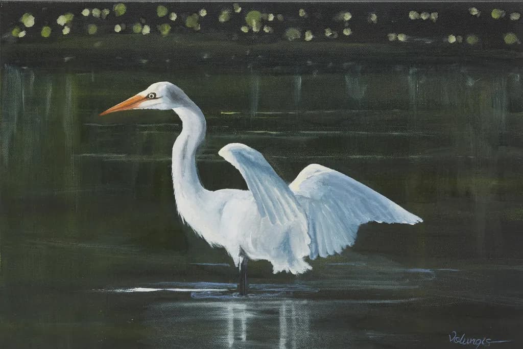 Great Egret in Motion