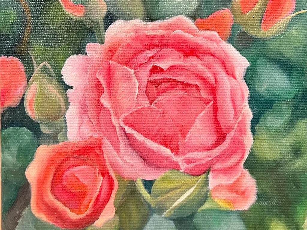 Pink Rose Garden