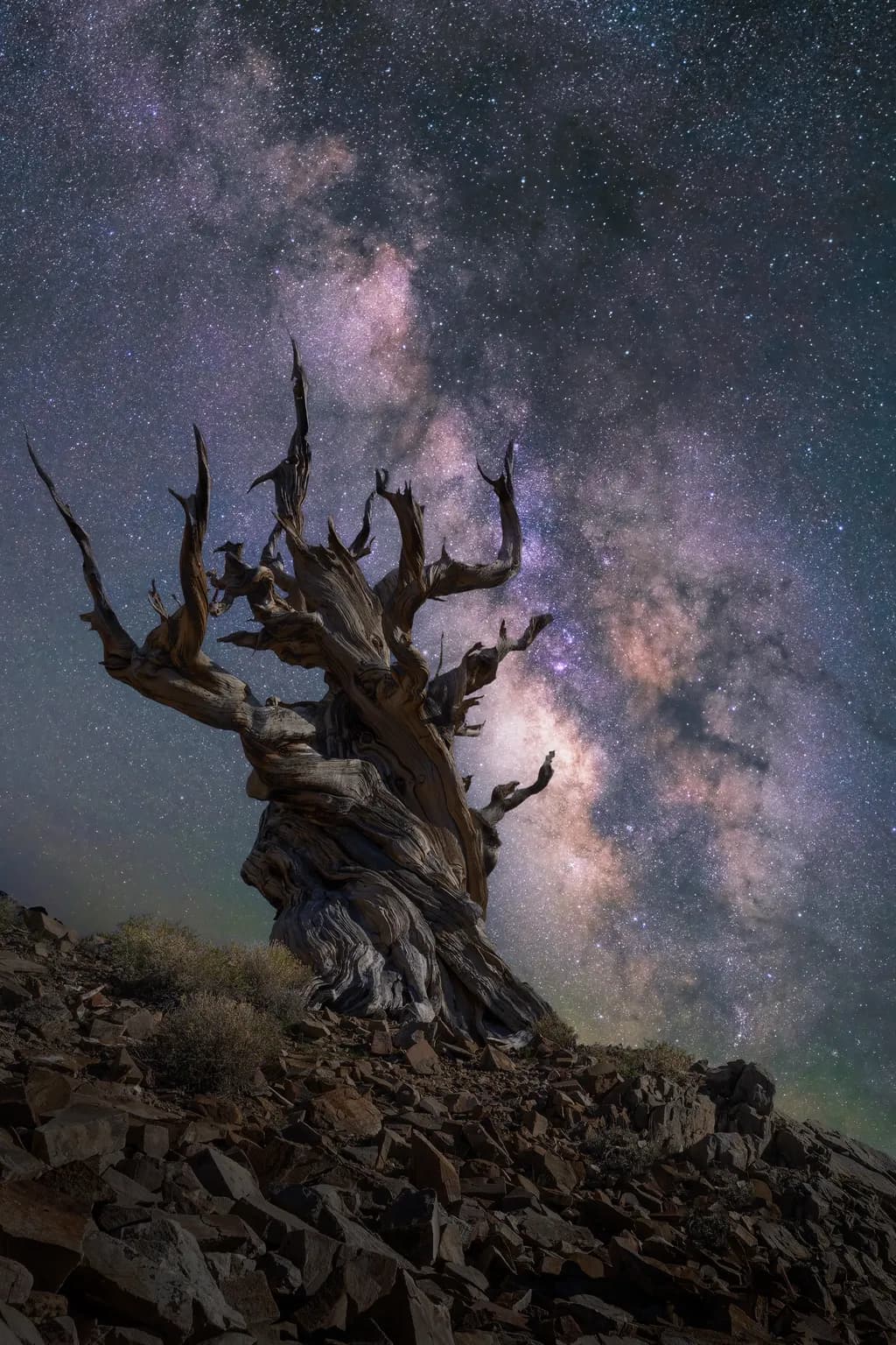 Ancient Reach
