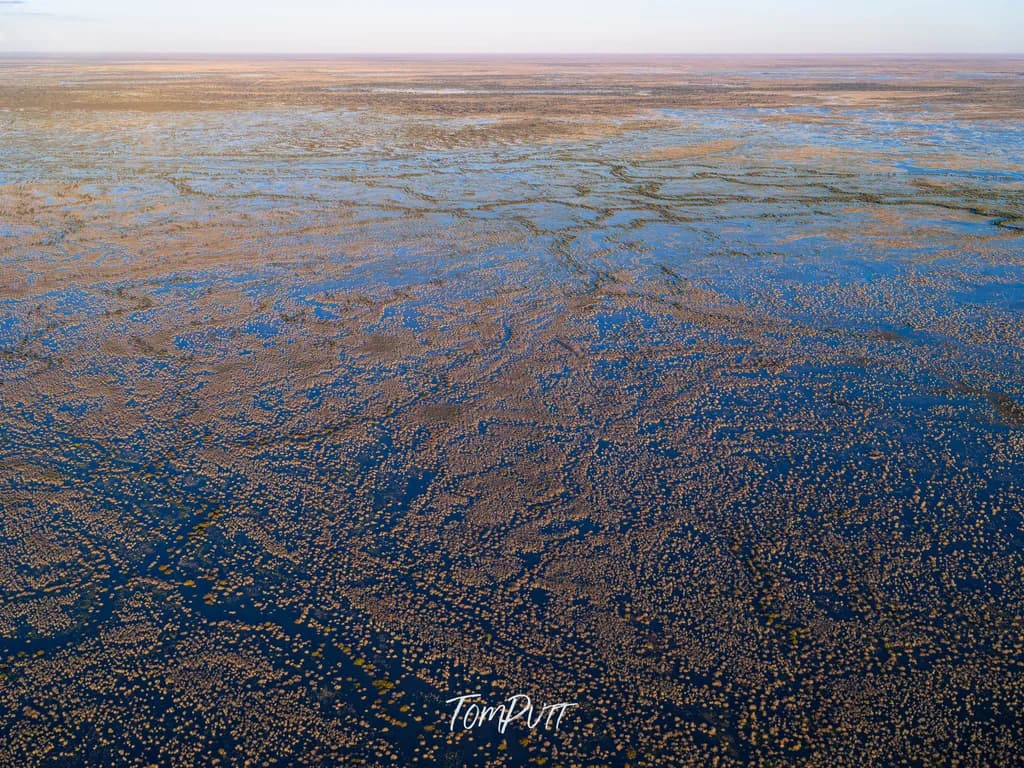 Channel Country Wetland